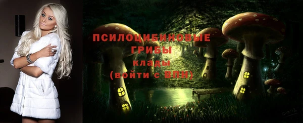 кокаин перу Ладушкин