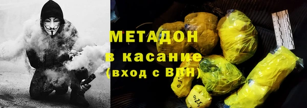 шишки Лабытнанги