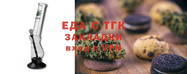 шишки Лабытнанги