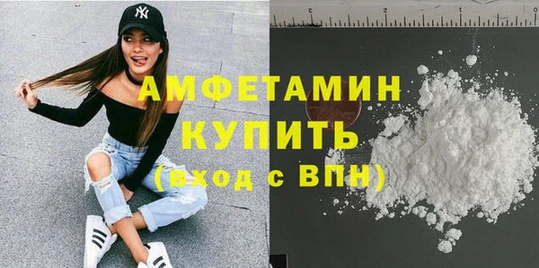 шишки Лабытнанги