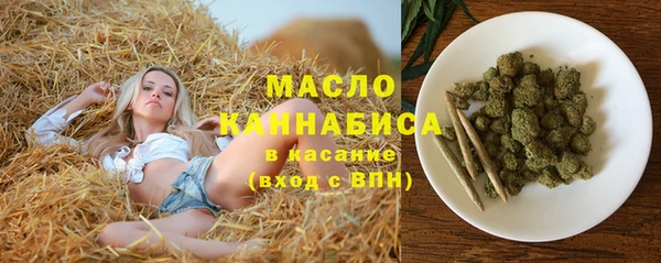 шишки Лабытнанги
