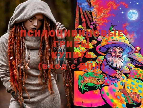 шишки Лабытнанги