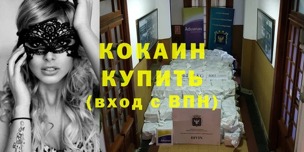 шишки Лабытнанги