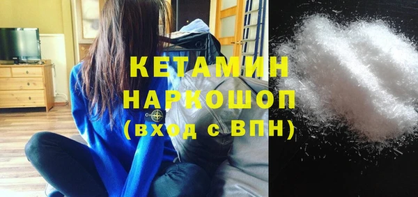 шишки Лабытнанги
