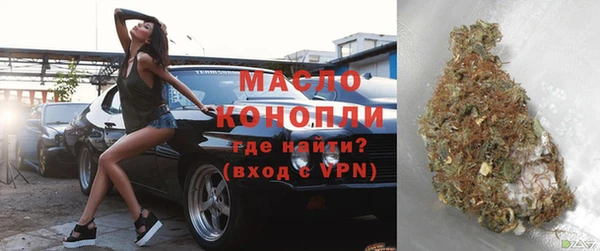 шишки Лабытнанги