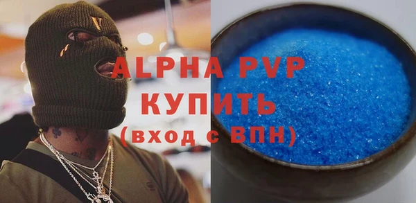 шишки Лабытнанги