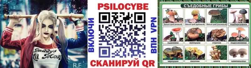 Галлюциногенные грибы Psilocybe  Купить  Северск 