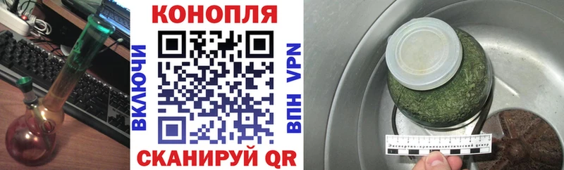 Конопля сатива  Купить где  Северск 